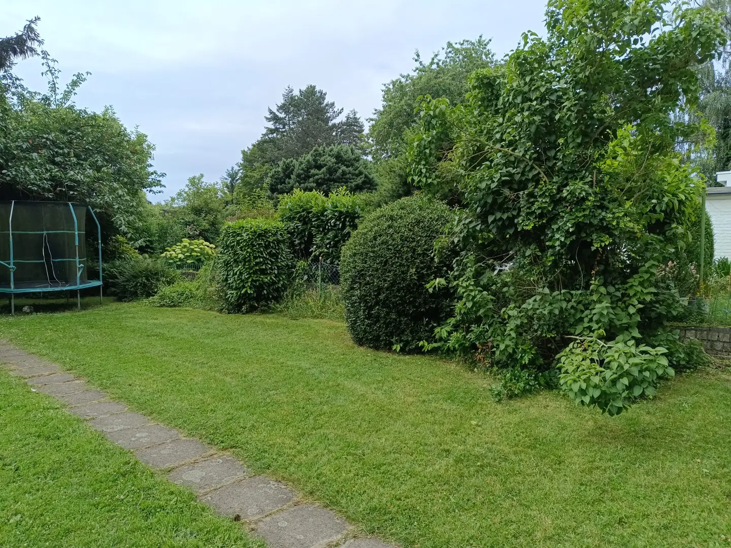 Frisch gemähter Rasen mit Plattenweg, dahinter geschnittene Hecken und Sträucher.